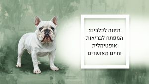 אוכל טרי לכלב – המדריך שישנה את חייו של הכלב שלכם