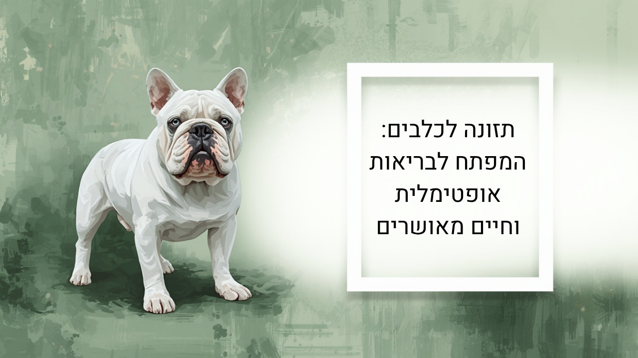אוכל טרי לכלב – המדריך שישנה את חייו של הכלב שלכם